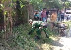 Babinsa Wringinanom Tunjukkan Kepedulian Nyata, Gotong Royong Bersama Warga 